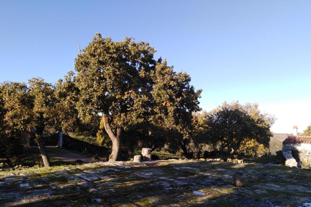 Su Montiju De Sa Falada Manna Cheremule Luaran gambar