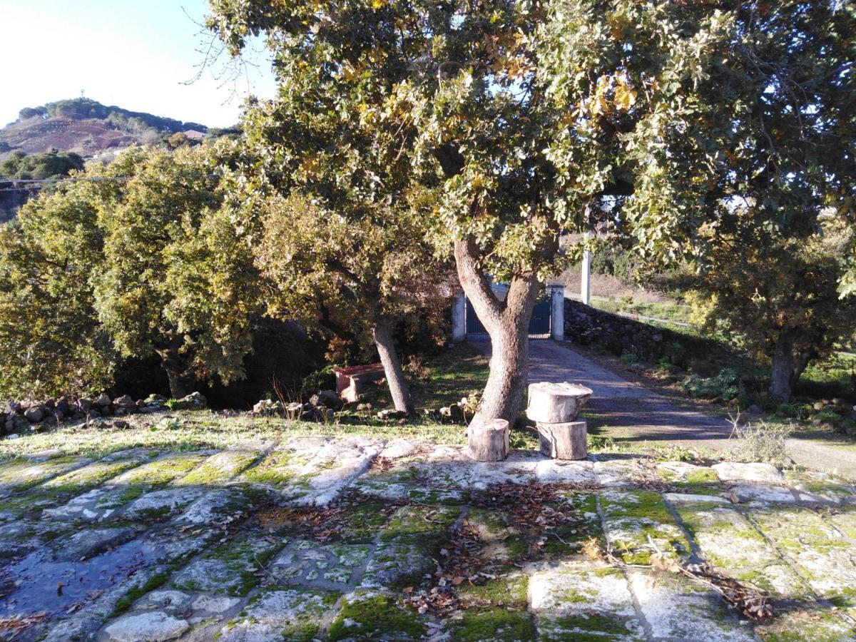 Su Montiju De Sa Falada Manna Cheremule Luaran gambar